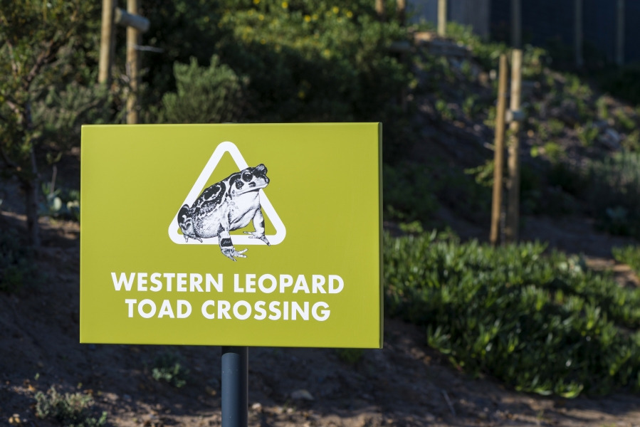 0 Bedroom Property for Sale in Chapman